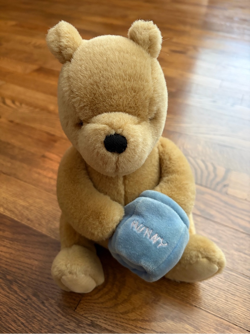 Vintage 90s Gund Disney Classic Winnie the Pooh Musical Wind-Up Plush Toy